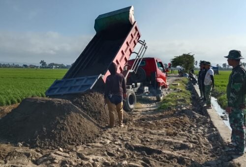 Kegiatan TMMD Ke-129 di Pinrang, Truk Gelontorkan Material Tanpa Henti