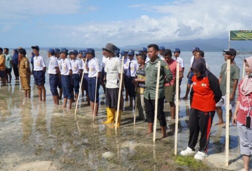 Kepulauan Umbele Aktif Dalam Penanaman Mangrove Bersama Satgas TMMD Ke-129