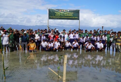 Penanaman Mangrove Seribu di Kepulauan Umbele oleh Satgas TMMD Ke-129 Bersama Warga