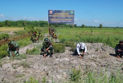 Aksi Penanaman Pohon oleh Satgas TMMD Ke-129 di Kuala Kapuas, Komitmen untuk Lingkungan