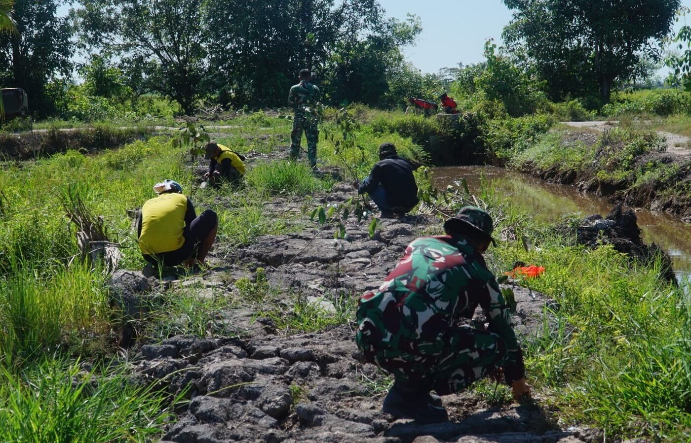 Aksi Penanaman Pohon dalam TMMD Ke-129 Kodim 1011/Kuala Kapuas