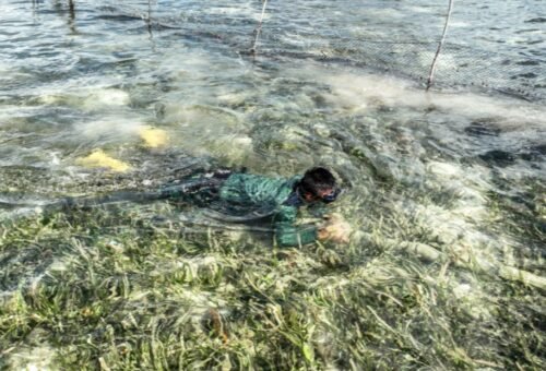 TNI Beraksi: Tim TMMD Ke-129 Memeriksa Kebocoran Pipa Air Bersih di Laut