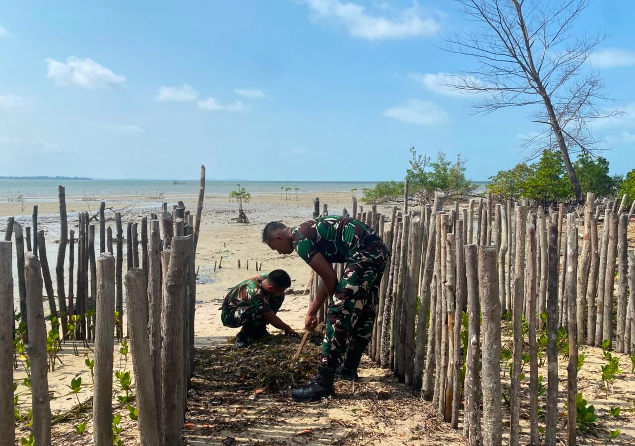Satgas TMMD Ke-129 Lakukan Pembersihan Sebelum Penanaman Mangrove