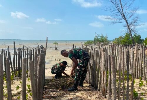 Satgas TMMD Ke-129 Lakukan Pembersihan Sebelum Penanaman Mangrove