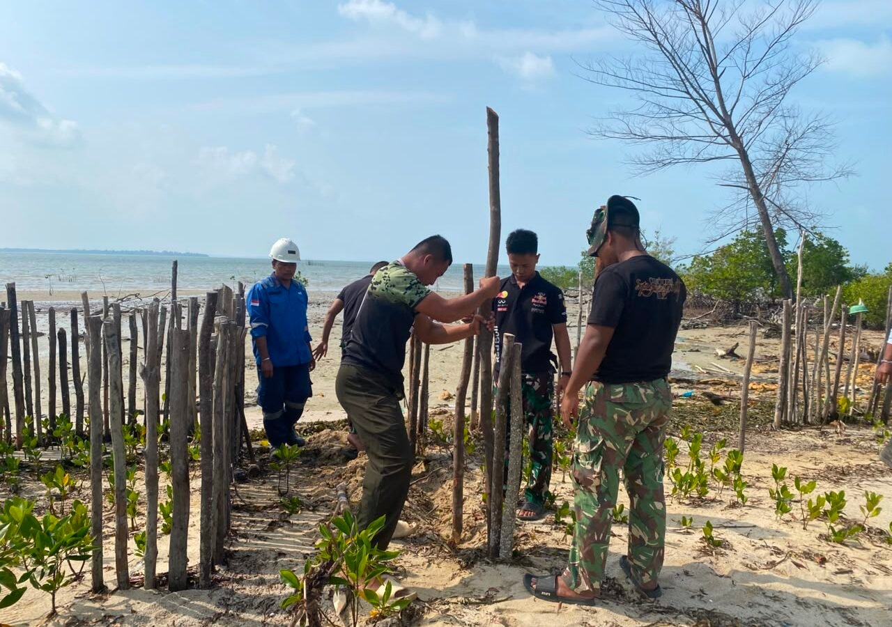 Penanaman Mangrove dan Pembangunan Pagar Pelindung oleh Satgas TMMD Ke-129
