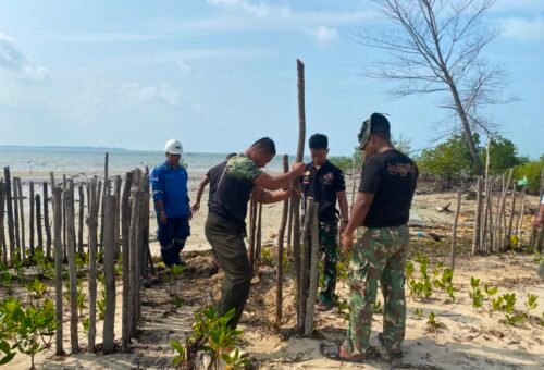 Penanaman Mangrove dan Pembangunan Pagar Pelindung oleh Satgas TMMD Ke-129