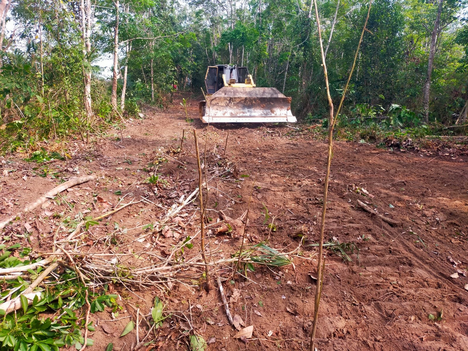 Pembukaan Jalan di Kampung Gunung Sangkaran, TMMD ke-130 Dorong Ekonomi Pedesaan