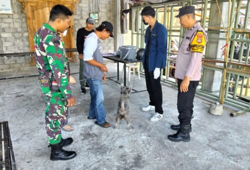 Peningkatan Kesehatan Hewan Melalui Vaksinasi Rabies Serentak di Tabanan