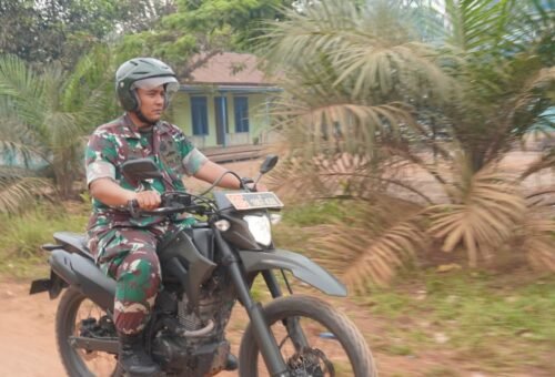 Dandim 1015/Sampit Lakukan Peninjauan Terhadap Kebakaran Hutan di Mentaya Seberang